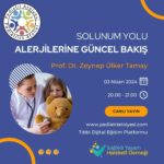 Solunum Yolu Alerjilerine Güncel Bakış